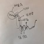 Sean Guo - @guo6595 - Instagram