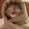Sean Guzman - @sean.guzman36 - TikTok
