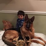 Sean Hahn - @sean.hahn6 - Instagram