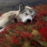 Sean Hahn - @hahn_sean - Instagram