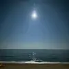 Sean Hahn - @sean.hahn1 - TikTok