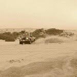 Sean Halstead - @sean6.6_805ss - Instagram