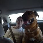 Sean Halstead - @seanhalstead - Instagram