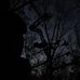 Shawn Halverson - Facebook