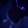 Sean Hamm - @sean.hamm - TikTok