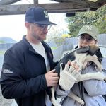 Sean Hampson - @hamytime80 - Instagram