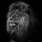 Hseen Hamdan - Facebook