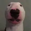 Desean Harder - @deseanharder - TikTok