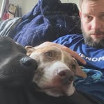 Sean Harder - @deadpool90 - Instagram
