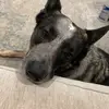 seanharder283 - @_definitely_not_a_bot - TikTok