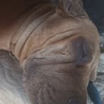 Sean hardman - @localcrazyguy32 - Instagram
