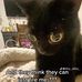 Sean Harry - Facebook