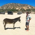 Sean Hatfield - @seanhatfield - Instagram