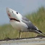 Sean Hatfield - @hatfield.sean - Instagram