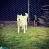 Sean Haugen - @seanhaugen2 - TikTok