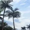 seanhaugh100 - @seanhaugh100 - TikTok
