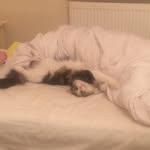 Seanheard - @sean_hear - Instagram