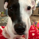 Sean Hearn - @sean.hearn.12 - Instagram