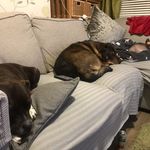 Sean Hearn - @jp.hearn - Instagram