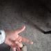 Sean Heaton - Facebook