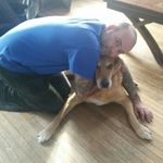 Sean Heckford - @seanheckford - Instagram