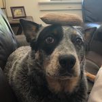 Sean Heim - @seanheim67 - Instagram