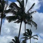 Sean Eric Hendrix - @techdolfan - Instagram