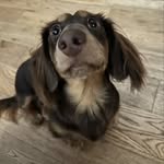 Sean Hendry - @seanhendry75 - Instagram