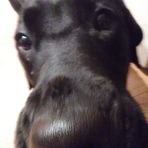 Sean Henrikson - Facebook