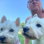 Sean Herbert - @siherbert - Instagram