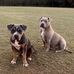 Sean Harriott - Facebook