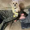 seanherron469 - @seanherron469 - TikTok