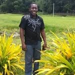 Sean Hinds - @snipes1977 - Instagram