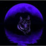 Sean Hinkle - @dark_wolf_1 - Instagram