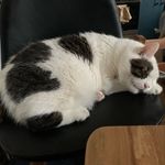 Sean Hinkle - @oipivo - Instagram