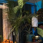 Sean Hinkle & Dana McCue - @bsuplantatree - Instagram