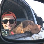 Sean Hobson - @seananddogs - Instagram