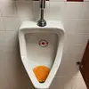 Sean Hofer693 - @605y305 - TikTok