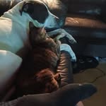 Sean Hogarty - @sean.hogarty - Instagram