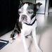 Sean Holly - Facebook