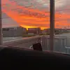 sean hollyman - @sean.hollyman - TikTok