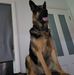 Sean Ingram - Facebook