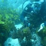 Sean Irvine - @seannireland - Instagram