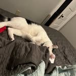 Sean Ivers - @funinja55 - Instagram