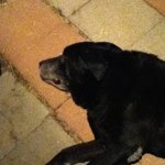 Sean Jarrell - @sean_jarrell16 - Instagram
