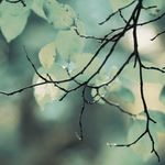 Sean Charles Jester - @seancharlesjester - Instagram