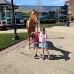 Sean Jobe - @sean.jobe.7 - Instagram