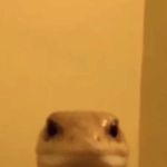 Sean Jonasson - @sean.jonasson - Instagram