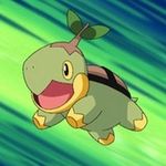 Sean Joo - @joobutnotajew - Instagram
