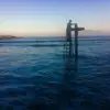 seanjoyal - @seanjoyal - TikTok